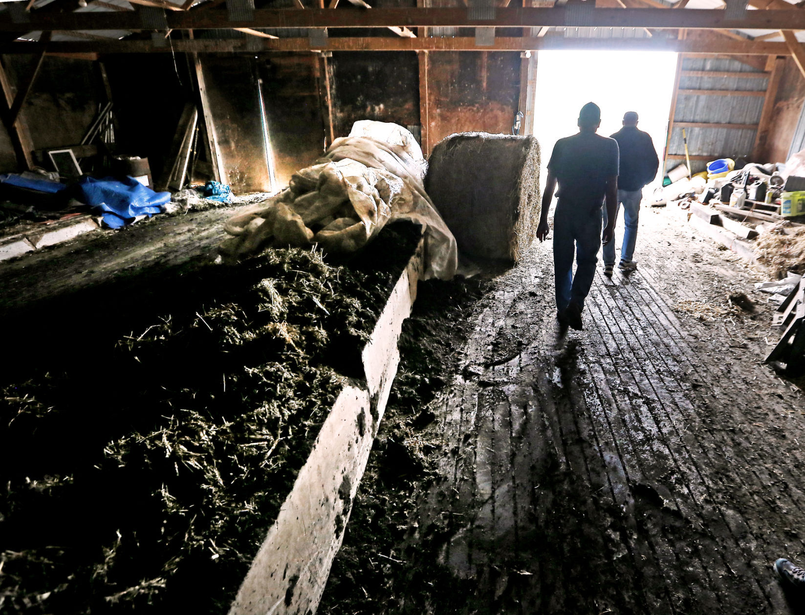 Worm Farm